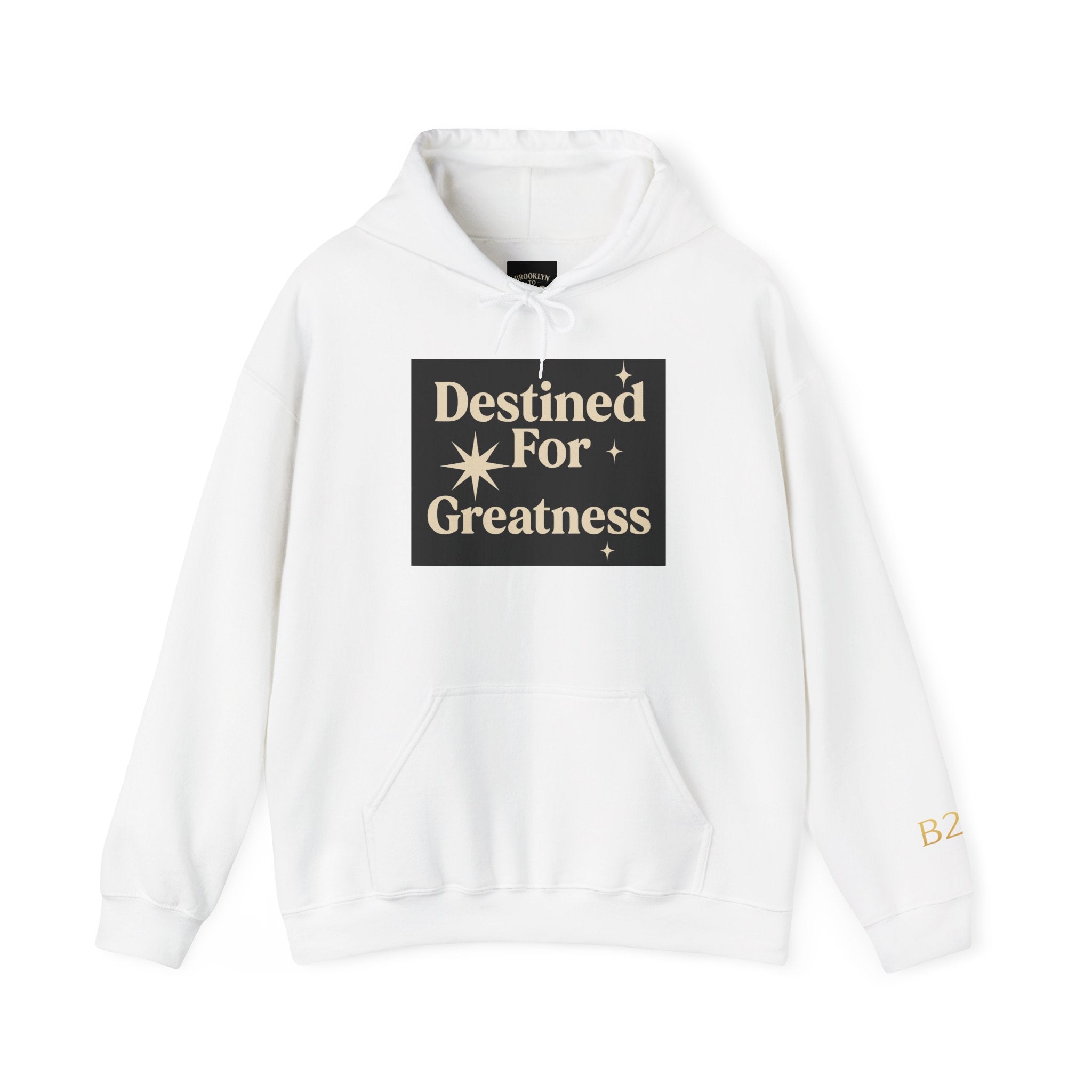 Destined for Greatness Hoodie – Limited Edition Motivational Streetwear