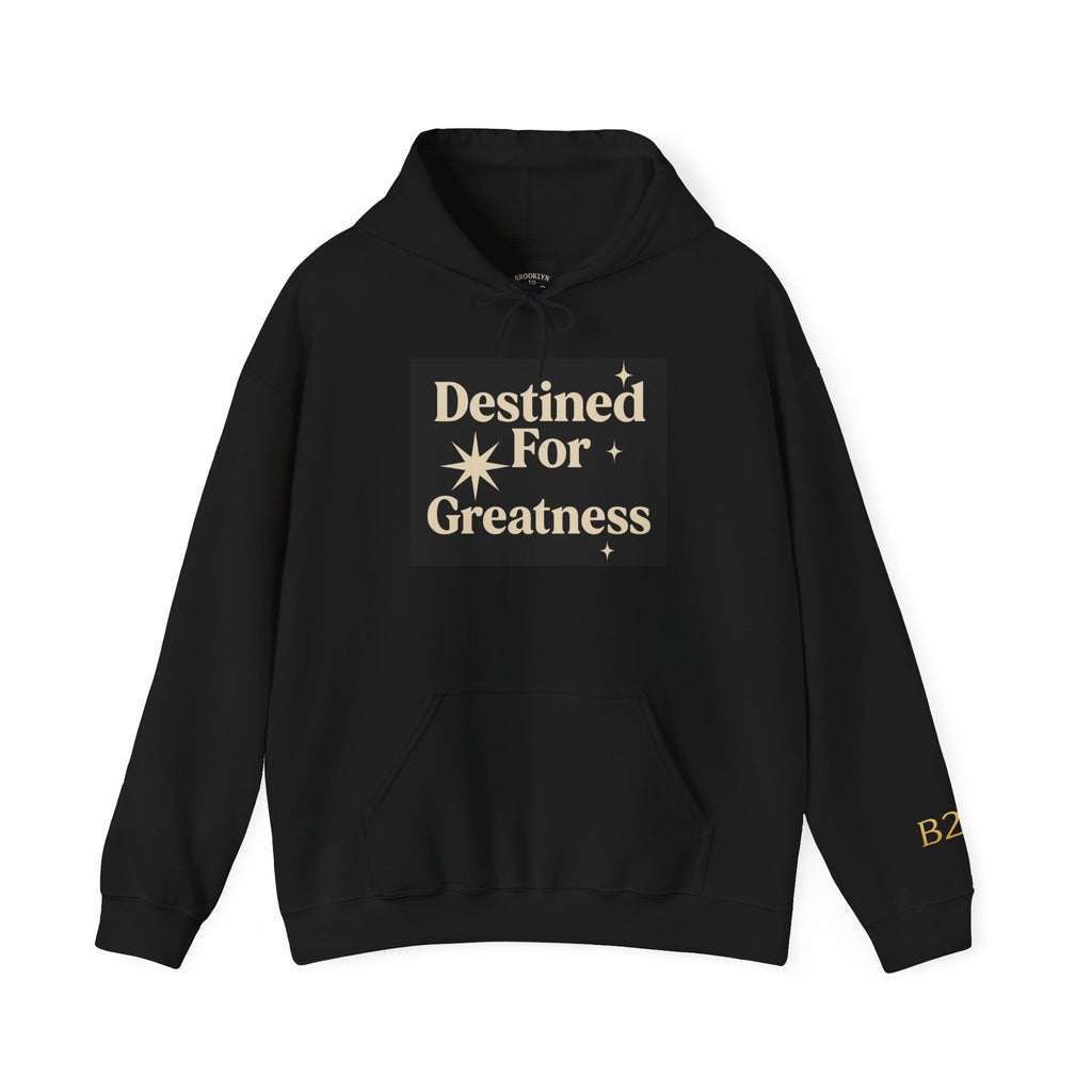 Destined for Greatness Hoodie – Limited Edition Motivational Streetwear