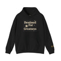 Destined for Greatness Hoodie – Limited Edition Motivational Streetwear