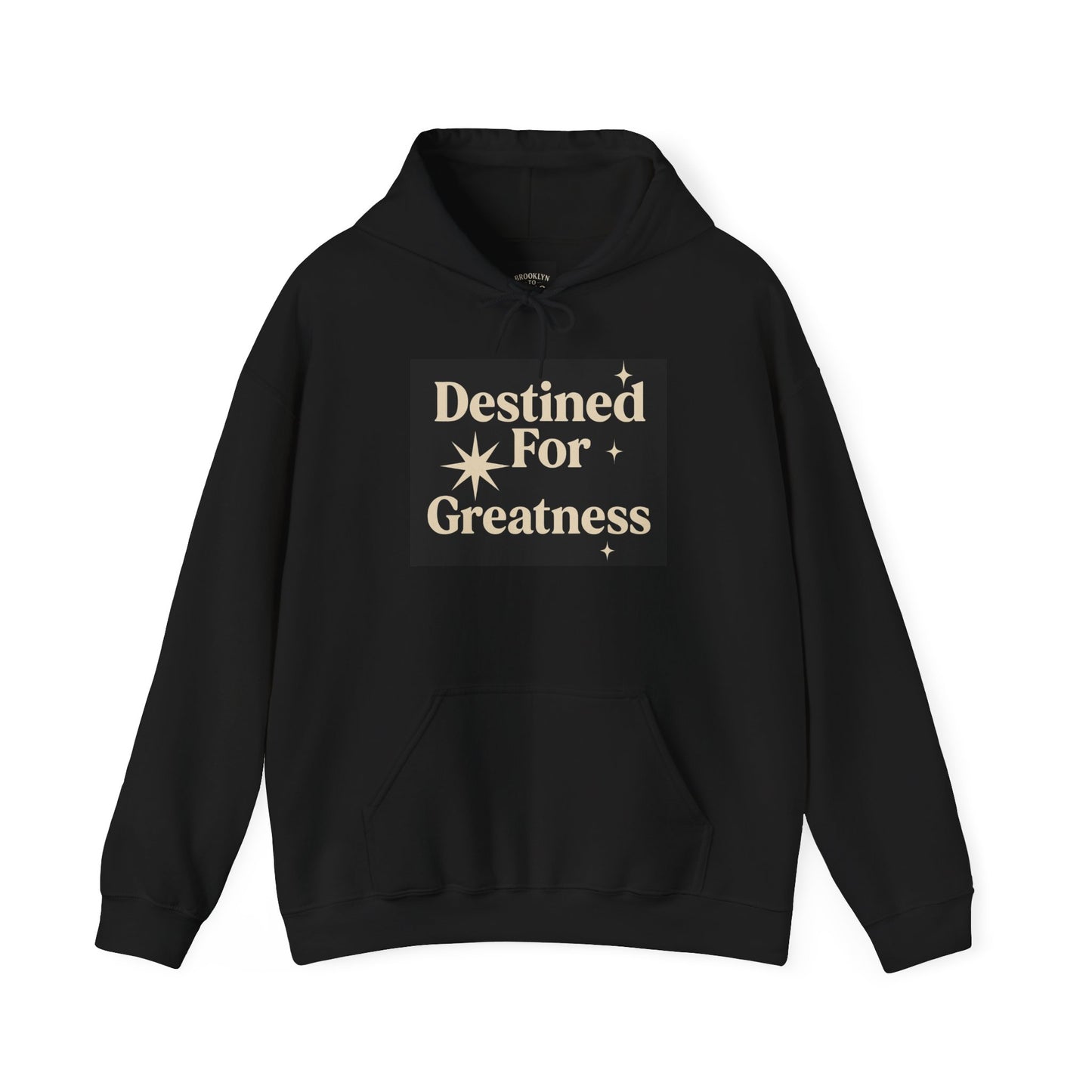 JBZ™ Destined For Greatness Hoodie | Mindset Collection