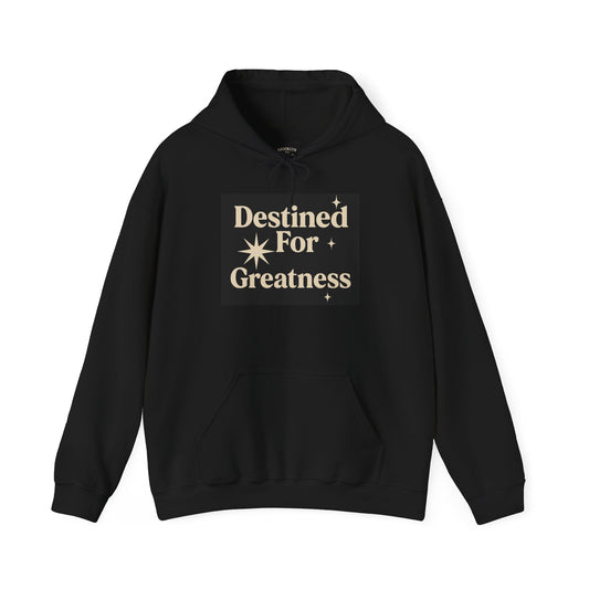 JBZ™ Destined For Greatness Hoodie | Mindset Collection